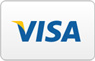 visa credit logo