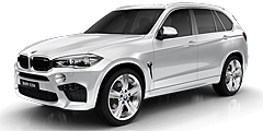 View BMW X5 M SUV (2014 - 2018) F85 wheels (2014 - 2018)