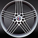 Alpina Dynamic Wheel D09