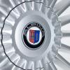 Alpina Classic C16 Silver with Polished Spoke Ends Wheel Img 4