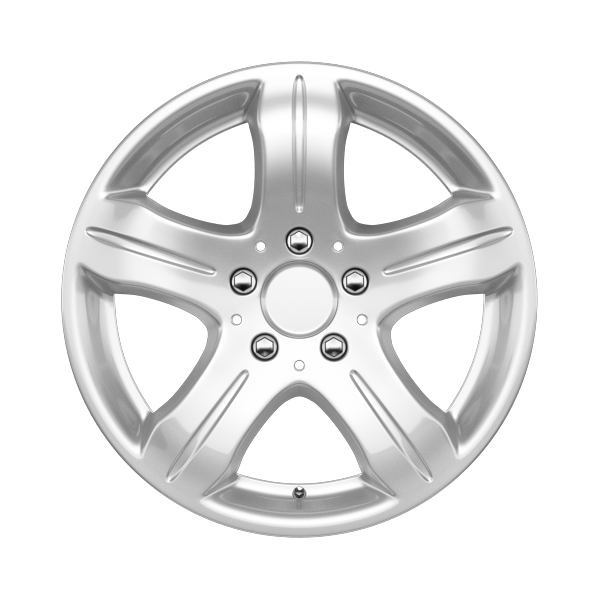 Rial DF Polar Silver Alloy Wheel Product Image #1